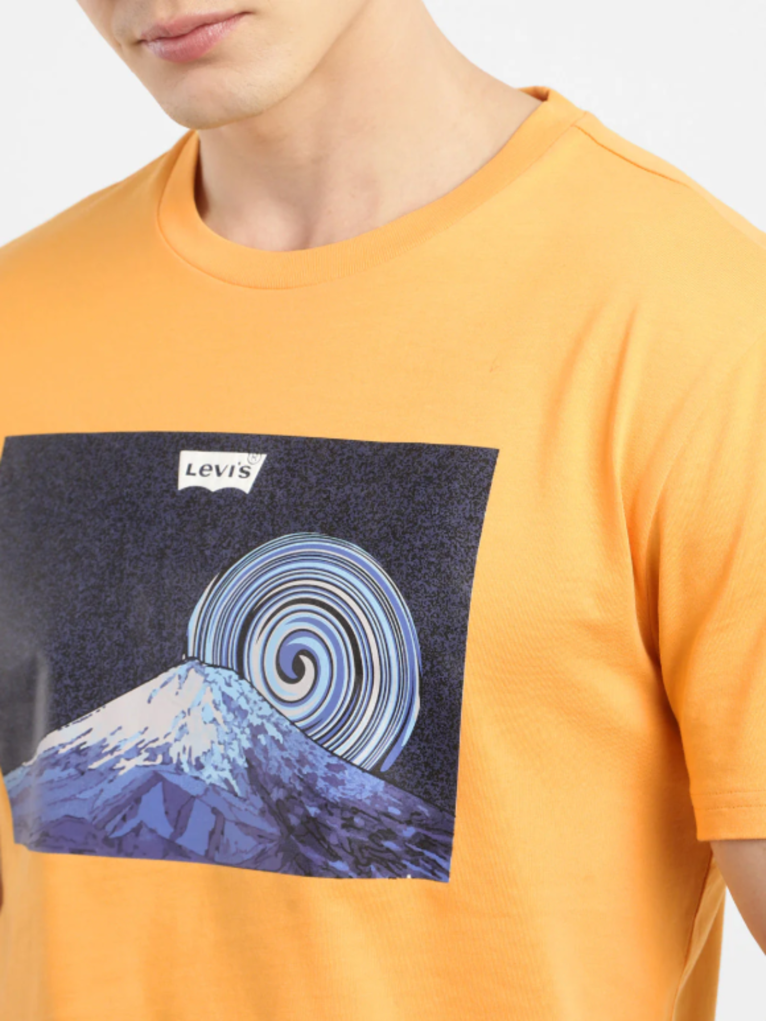 Levi's Men's Cotton Regular Fit T-Shirt