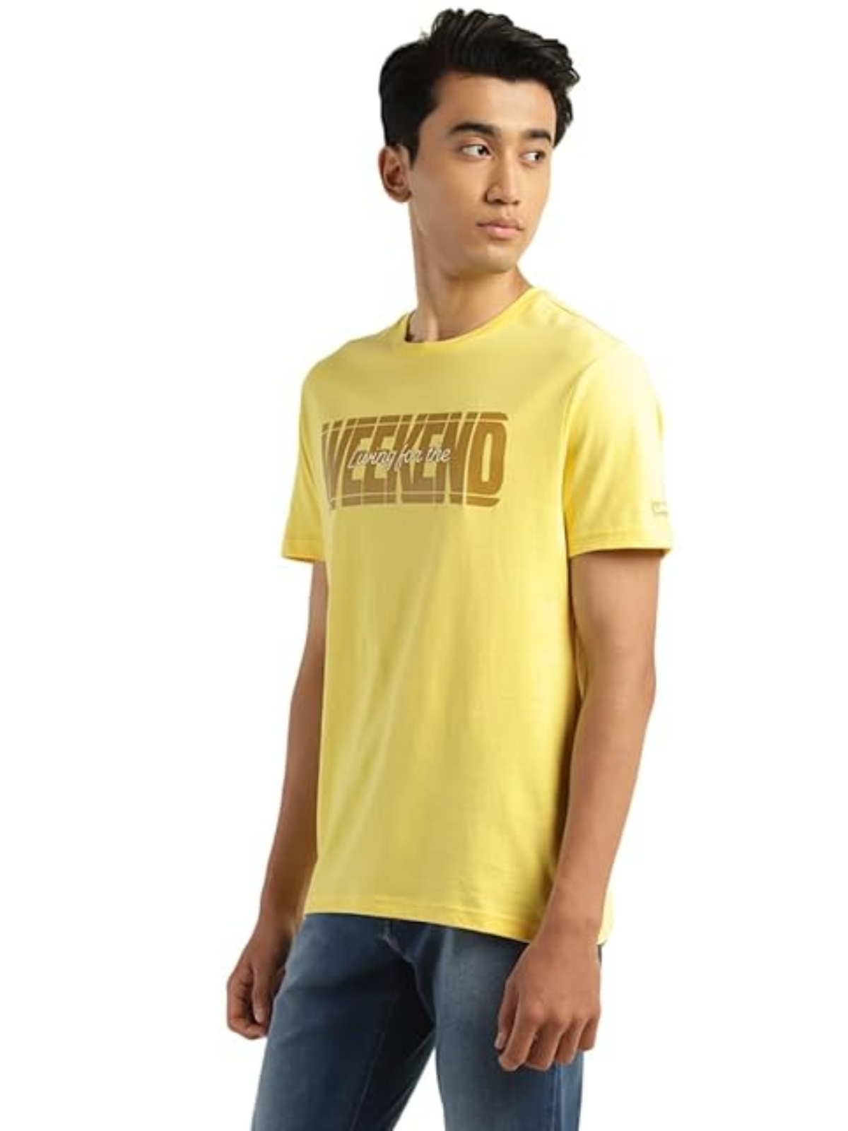 Levi's Men's Regular Fit Typography T-Shirt