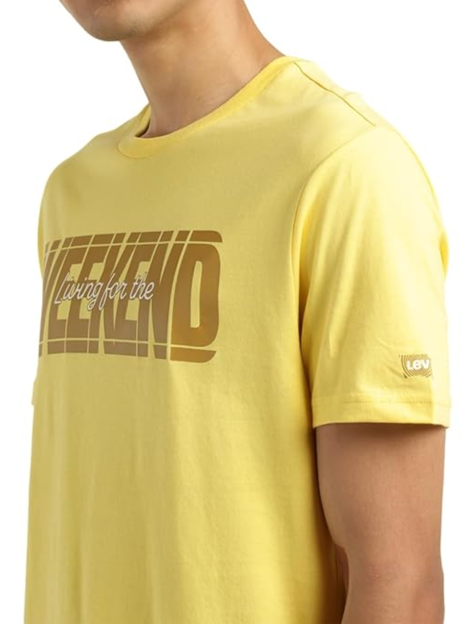 Levi's Men's Regular Fit Typography T-Shirt